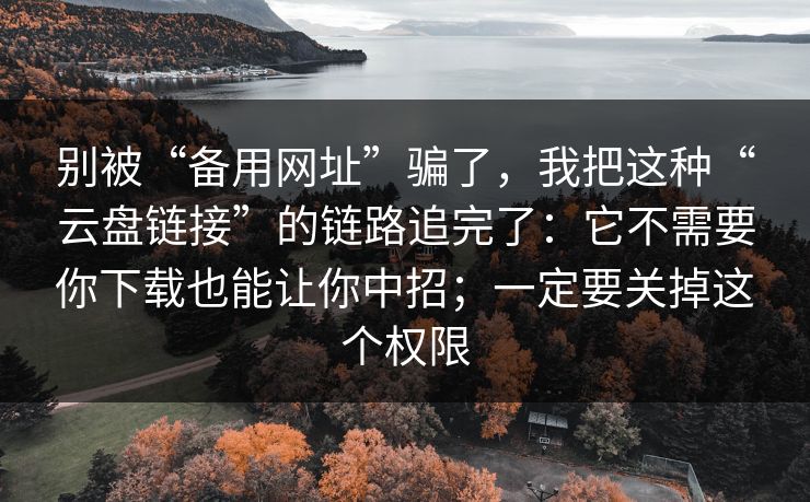 别被“备用网址”骗了，我把这种“云盘链接”的链路追完了：它不需要你下载也能让你中招；一定要关掉这个权限