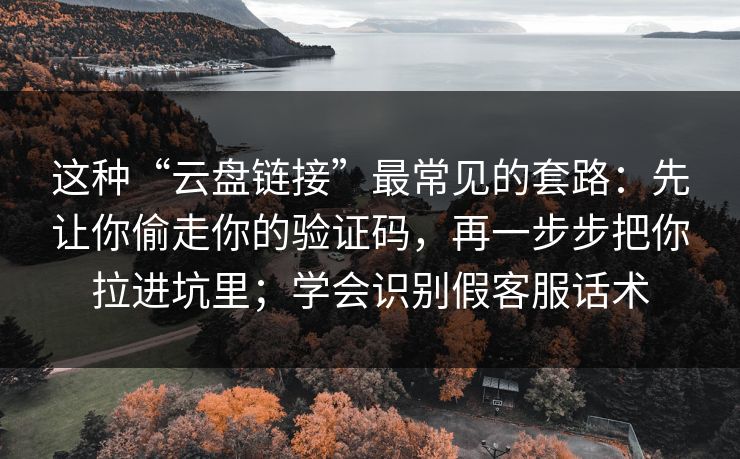 这种“云盘链接”最常见的套路：先让你偷走你的验证码，再一步步把你拉进坑里；学会识别假客服话术
