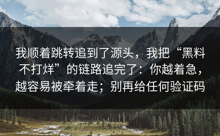 我顺着跳转追到了源头，我把“黑料不打烊”的链路追完了：你越着急，越容易被牵着走；别再给任何验证码