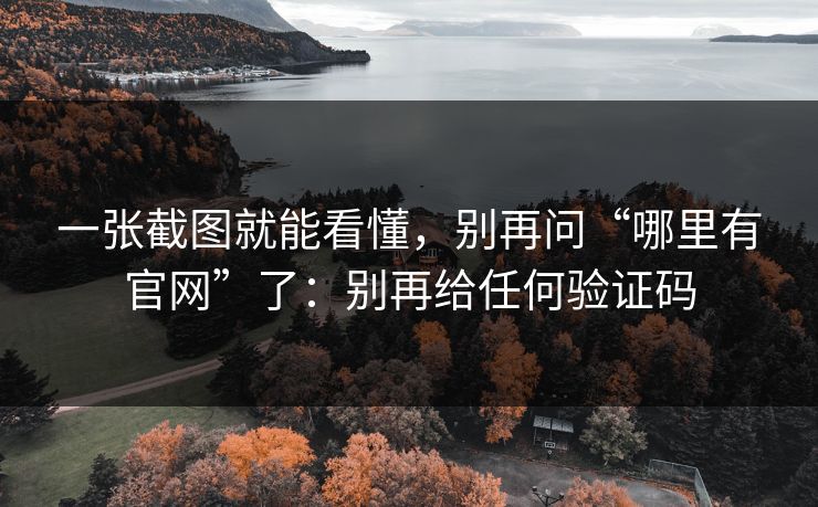 一张截图就能看懂，别再问“哪里有官网”了：别再给任何验证码