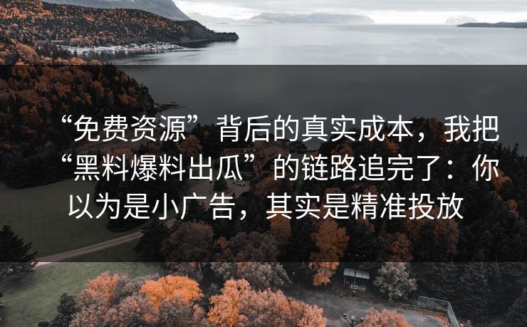 “免费资源”背后的真实成本，我把“黑料爆料出瓜”的链路追完了：你以为是小广告，其实是精准投放
