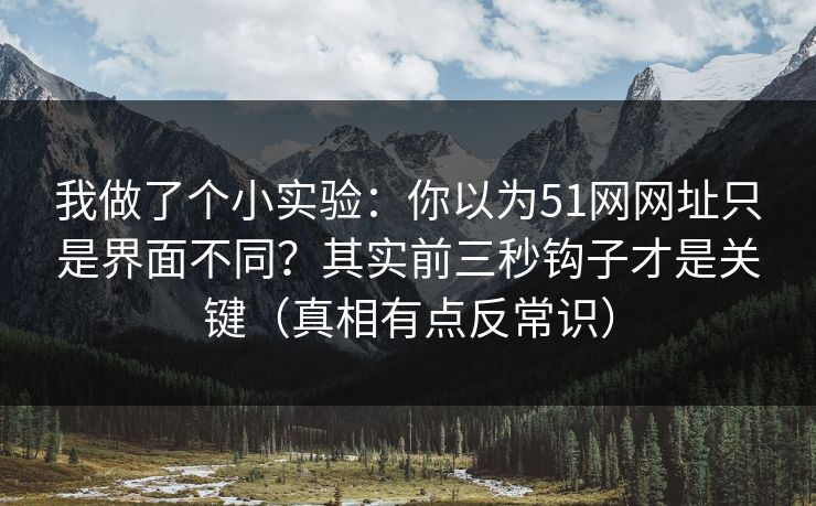 我做了个小实验：你以为51网网址只是界面不同？其实前三秒钩子才是关键（真相有点反常识）